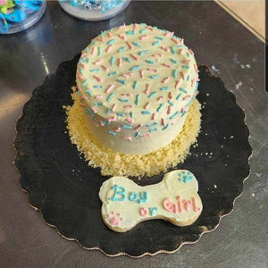 Gender Reveal