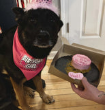 Dog Mini Cake