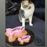 Fish Cat Cake