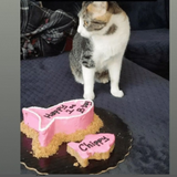 Cat Cake